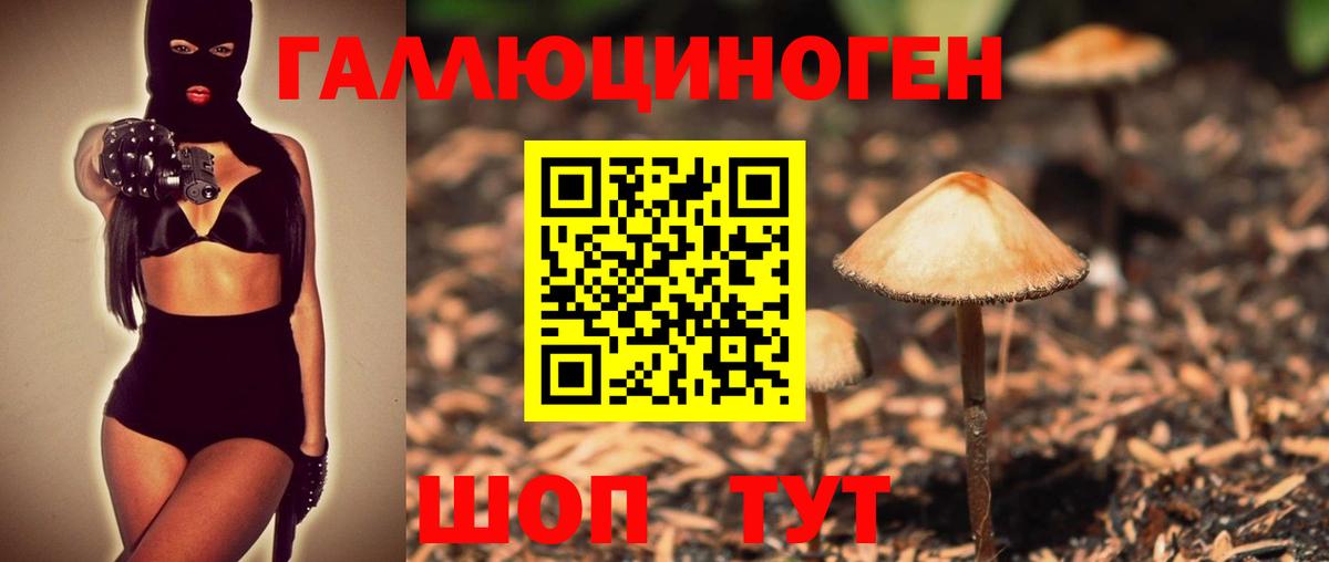 Галлюциногенные грибы Cubensis  Псилоцибиновые грибы GOLDEN TEACHER  Вход с VPN  Волоколамск 
