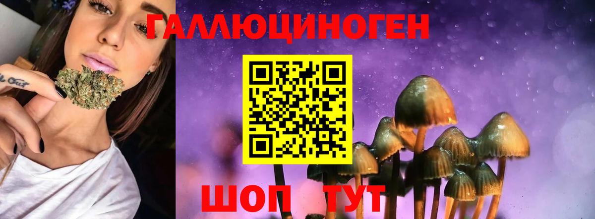 Галлюциногенные грибы Magic Shrooms Волоколамск
